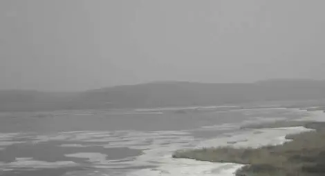 Бракониери ловят риба през дупки в леда в "Сребърна"