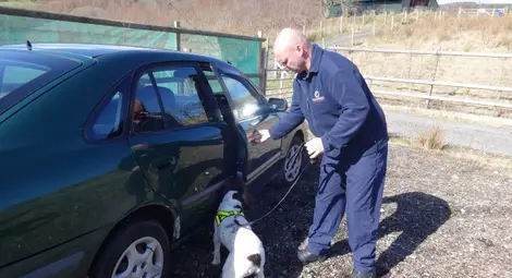 Как се учат кучета да спасяват хора &ndash; по Viasat Nature