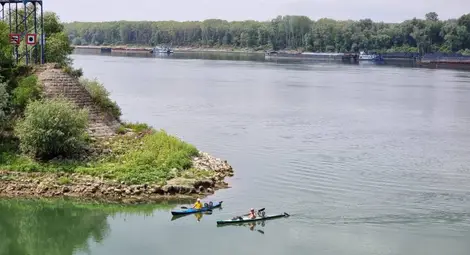 80 години делят най-младия и най-възрастния участник в ТИД