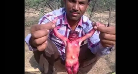 Индиец извади странно същество от кладенеца си