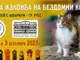 Спасени от улицата бездомни котки търсят осиновители на изложба в Екомузея