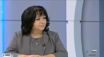 Теменужка Петкова: Стотици населени места са без ток