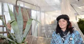 Столетник зимува всяка година в хотел „Паркстрой“