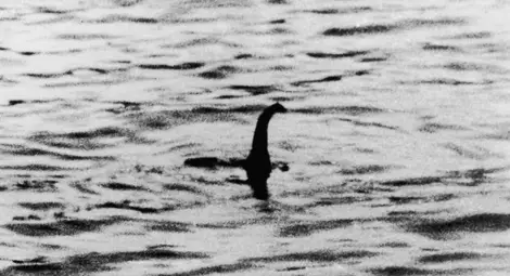 Чудовището от Лох Нес вероятно е голям сом