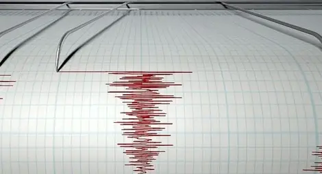 3,1 по Рихтер разлюля Румъния