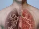 3 природни метода за пълно прочистване на белите дробове от катрани при пушене