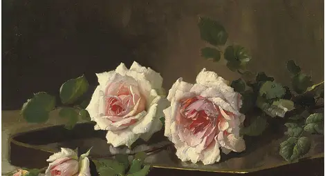 Царската роза - изчезналата благородна и безкрайно красива гостенка на Русе