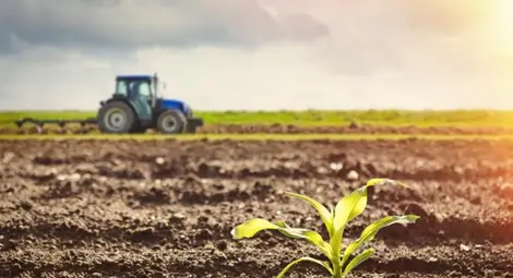 103 лева за декар достигна  рентата за държавните ниви