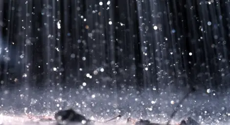 Валежите продължават Валежите продължават