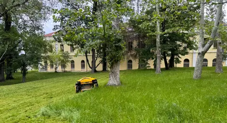 Продължават дейностите по косене на тревни площи в Русе