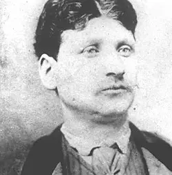 Втората Ботева чета