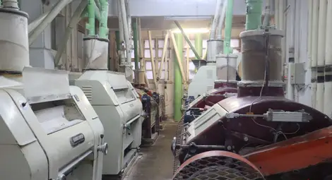 Мелница "Алимет" в Бяла, една от най-големите в Северна България, работи активно на румънския пазар