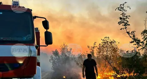 Снимка: БТА