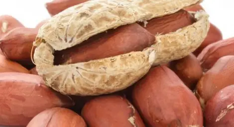 Пазете се от 10-те най-отровни храни на света