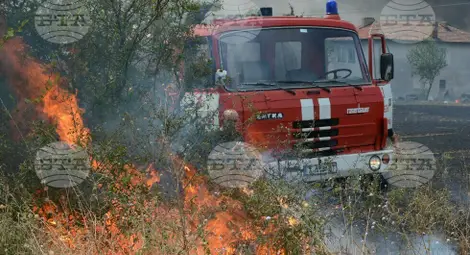 Снимка: БТА