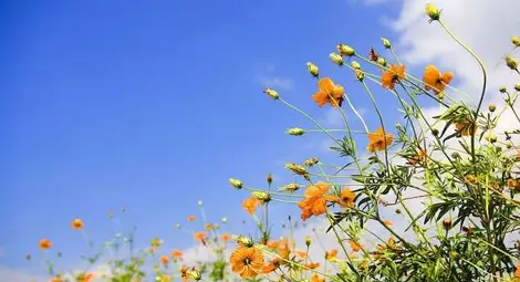 1 април започва като лято