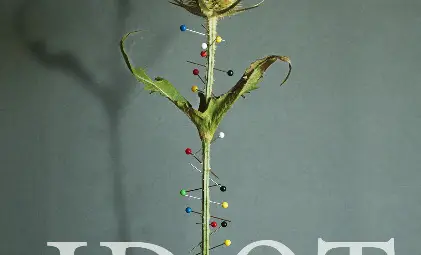 Библиотеката показва плакати на спечелита национално и международно признание Люба Томова Библиотеката показва плакати на спечелита национално и международно признание Люба Томова