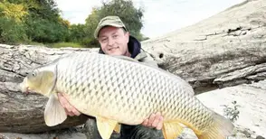 Три зърна царевица на косъм извадиха 13-килограмов шаран от Дунав