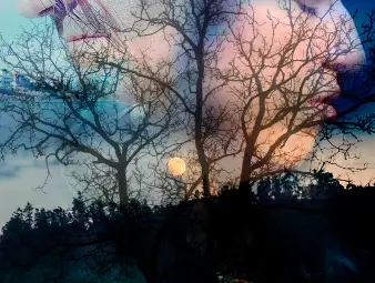 Фото/дизайн: Momchil Mihaylov Studio