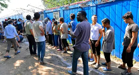 914 мигранти са заловени на българо-сръбската граница от началото на 2017 г.