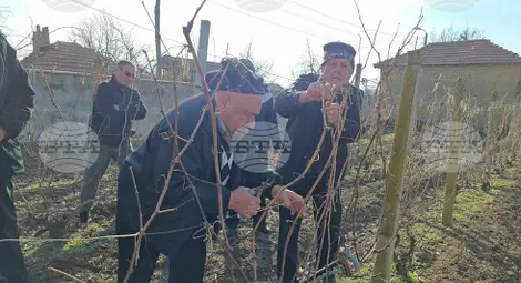 Снимка: БТА Снимка: БТА