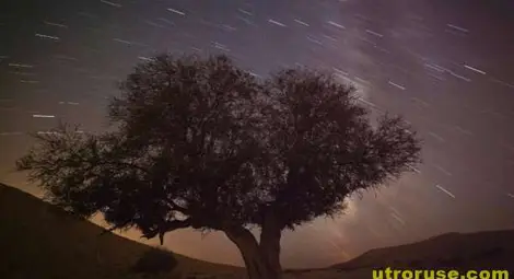 Персеидите се изсипват като звезден дъжд от от небето