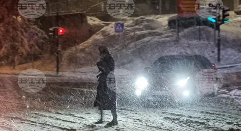 Снимка: БТА Снимка: БТА