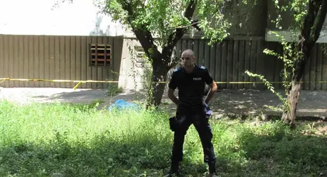 Снимка: rusemedia.com Снимка: rusemedia.com