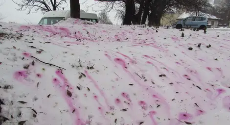 Русенци звънят за червен сняг на телефон 112