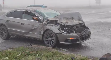 Снимка: Русе Медиа