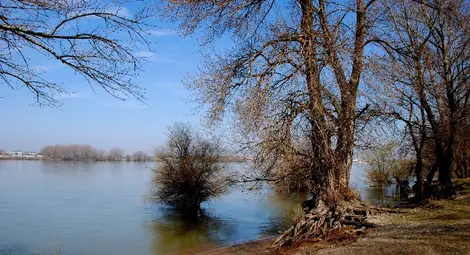 Спасиха по чудо две тийнейджърки в Дунав