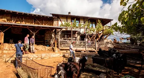 Chef Токев и Събин откриват най-дългокосместите кози в света и традиционния навпавок в Рила и Пирин
