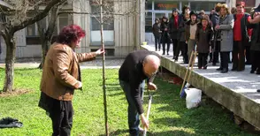 Статистическите изследвания с устойчив ръст от 7-8 години