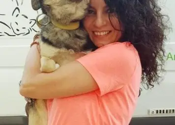 Все повече котки по улиците, откакто няма бездомни кучета