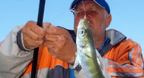 Над 100 рибари от цял свят идват в Асеновград за шампионата на планетата