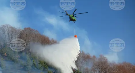 Снимка: БТА Снимка: БТА