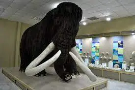 Какво произвеждат музеите?