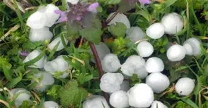 Земеделците ще си плащат за защитата от градушки