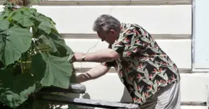 Операта получи разрешение за ремонт и стартира процедурите