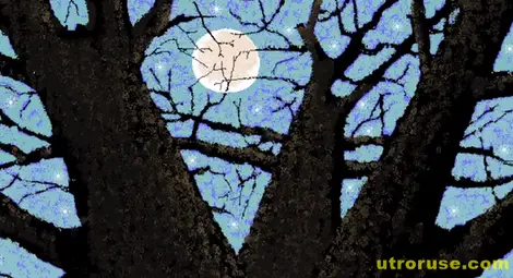 97-годишен дизайнер рисува картини с Microsoft Paint