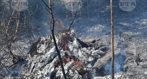 Снимка: БТА Снимка: БТА