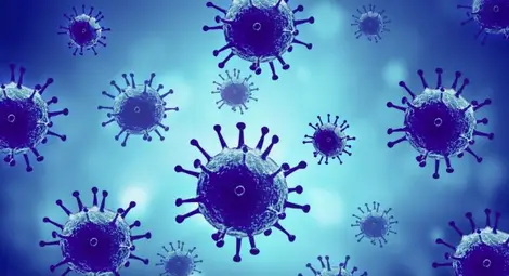 Епидемията от СПИН е започнала в Киншаса през 20-те години на XX в.