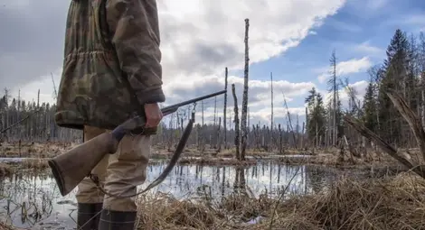 Двама бракониери останаха без пушки Двама бракониери останаха без пушки