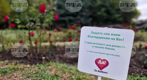 Снимка: БТА