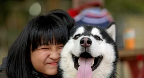 Децата предпочитат да споделят на домашните си любимци