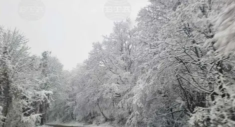 Снимка: БТА Снимка: БТА