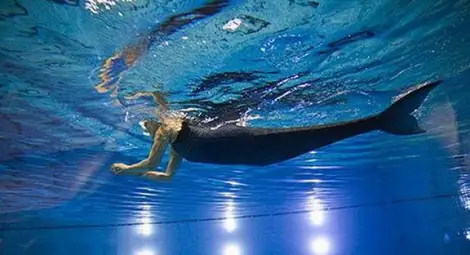 Американски учени: русалките съществуват! /видео/