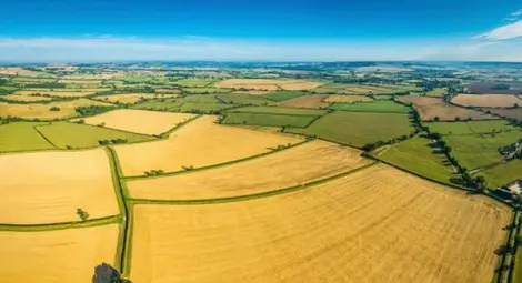 Разиграват на търг близо 800 декара държавни ниви Разиграват на търг близо 800 декара държавни ниви