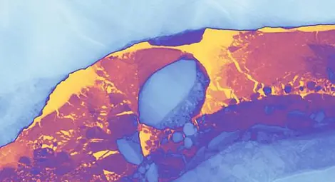 Непознати за науката същества са освободени от айсберга, отцепил се от Антарктида