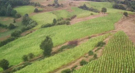 Какво можем да научим от румънската програма за селските райони?